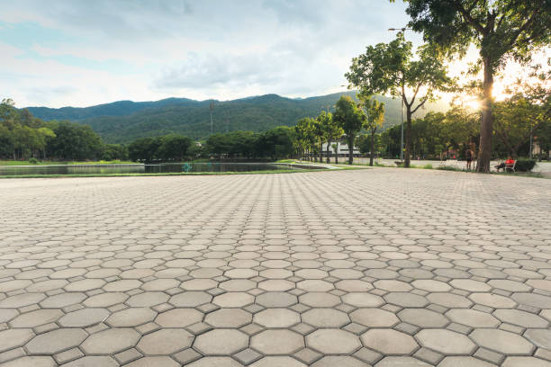 Best Permeable Paver Driveway  in Conway, AR